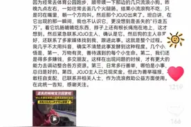 走失宠物狗被两条流浪狗“收养”，发现者：主人已兑现5万元奖金，将捐给流浪救助公益图片