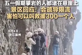 吓人！众游客被挂半山腰1个小时？景区回应图片