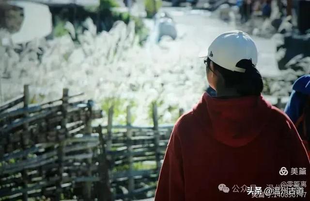 醉美林坑晒秋！这条连接两个避世古村落的省一级古道，周末可走起