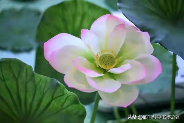 我们的相遇十分不易，我会珍惜每一瞬间，遇到你，真好