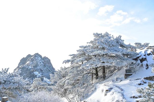 1月-2月，适合淡季出行的6个目的地，人少体验好，氛围感更佳