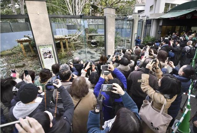 没有回旋余地，中国下令直接收回，17万日本人泪奔	，高市闯祸了！