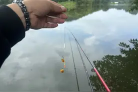 矶竿滑漂钓大鱼，必须掌握的2种“双铅钓法”，包教包会！图片