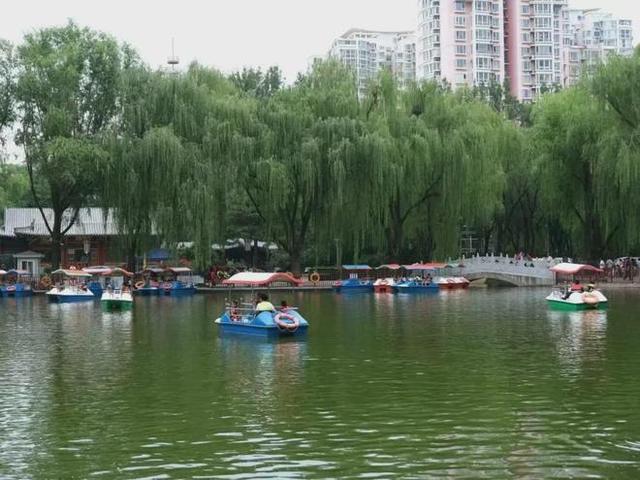 在昌平躺坪 | 20分钟，让公园治愈你