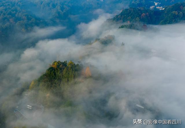 四川雅安：碧峰峡风光旖旎引客来