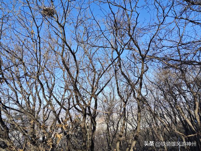 春节快到了，本溪动植物园开始在大门口塑冰雕了