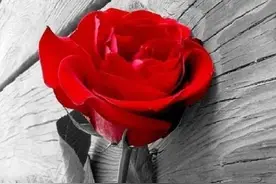 错爱（短篇小说）图片