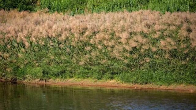 怀集的四季!带你回顾,带你深入