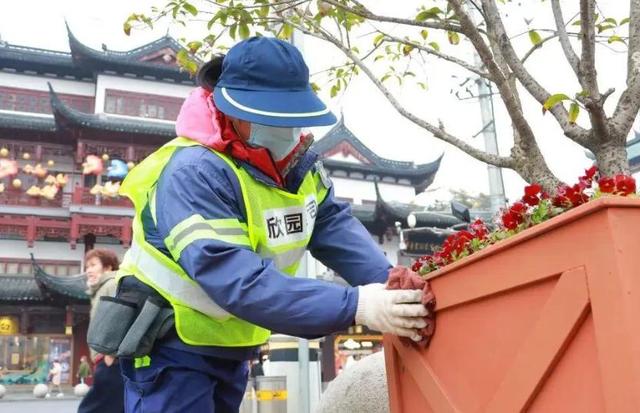 68岁保洁被游客群殴后续：伤情曝光是退伍老兵，警方介入网友炸锅