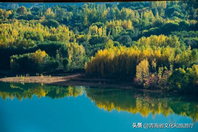 【秋日青海】别错过，夏末初秋，青海正在“换装”中！