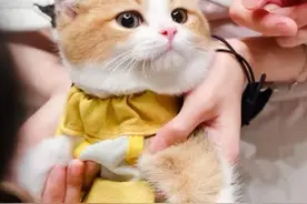 魔都含宠量100%的好去处，一起来看看吧→图片