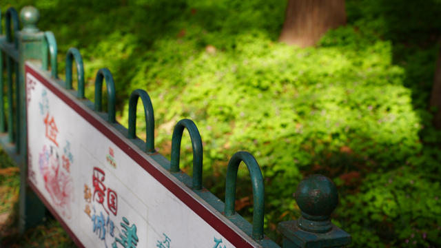 图说｜河南信阳浉河区：冬日暖阳下的浉河公园