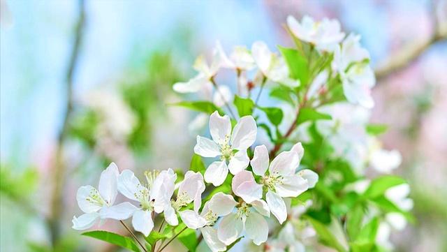 母亲房子卖40万大哥给我转20万，大嫂得知却说：这钱应该全是你的