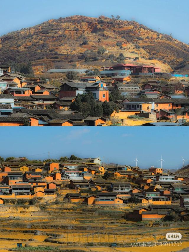 美疯了！高铁直达“四川小三亚”，花海开爆！草莓按盆吃，烧烤香迷糊！