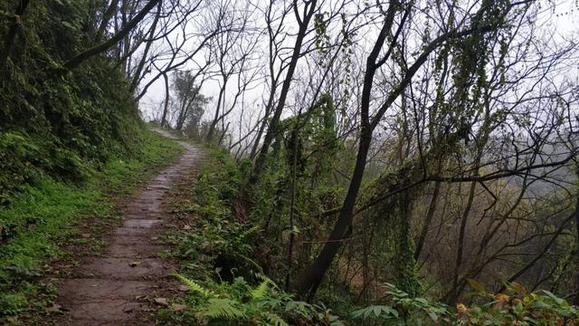 重庆南山被遗忘的千年古道，曾是重庆出川重要通道，如今成为秘境