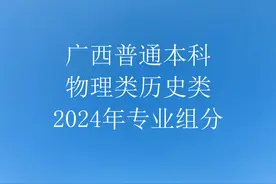 广西新高考及2024年普通本科[专业组分]Excel表格图片
