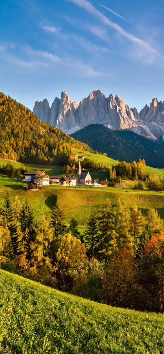 壁纸｜来去都是自由风 好运自会与我重逢