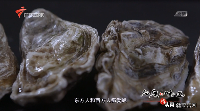 老广的味道 鱼肚花胶是哪期 老广的味道第五季鱼露