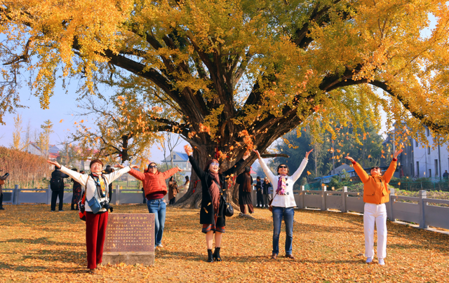 快来如皋打卡，错过就要等一年了🤩🤩🤩