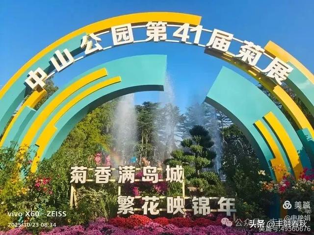 菊绽秋阳里，暗香绕中山｜申艳娟