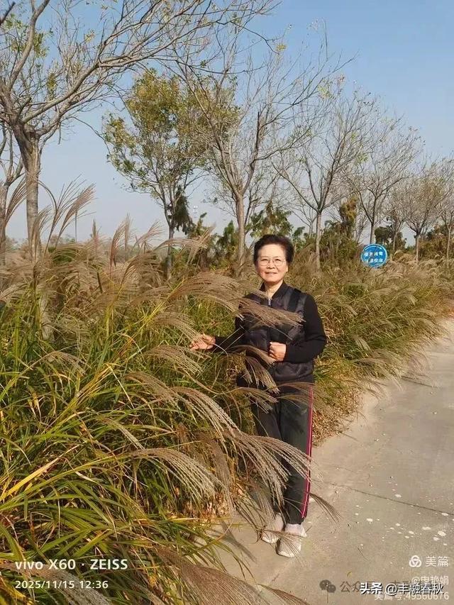 苇风载秋,鹤影映波——河北黄骅南大港湿地的初冬漫游| 申艳娟