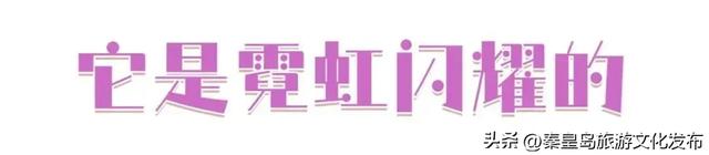 秦皇岛,凭什么成为TOP1?