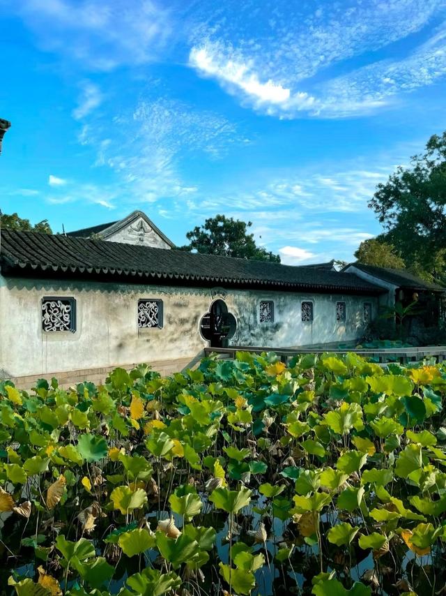 全部免费！高铁直达！适合散心的6个古镇，忙累了就去小住三五天