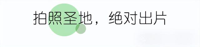 5折！5折！5折！绵竹麓棠温泉周年福利杀疯啦！赶紧冲！