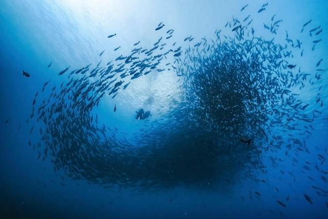 抱紧美日大腿，停飞中国航班、拒绝中国游客的小国	，如今怎样了？