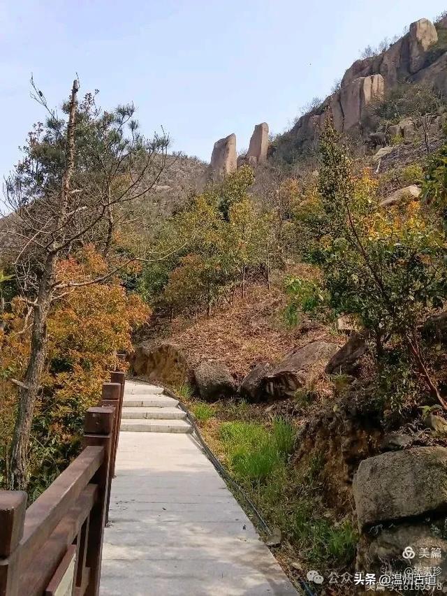 大罗山这条改造过的登山步道你可去过?