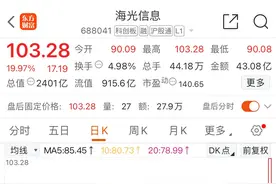 2024年以来，10大科技龙头股涨幅排名榜。图片