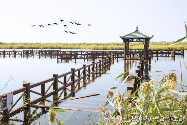河北省11市综合实力大比拼