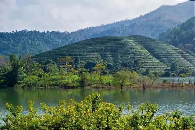 壮美五指山，我要给你五颗星