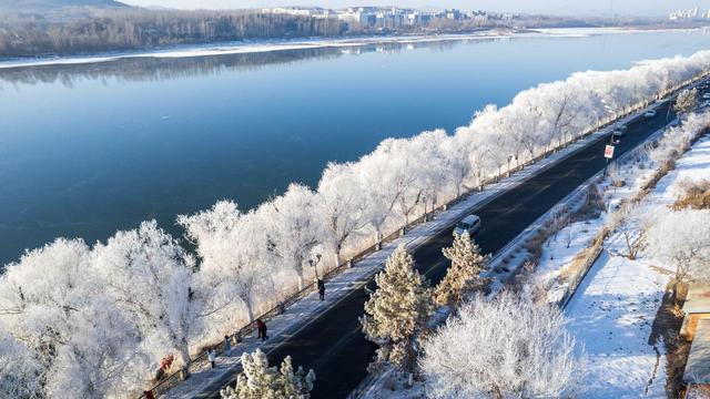 不是日本！不是韩国！这个人少静谧的雾凇仙境，感受一场玉树琼花