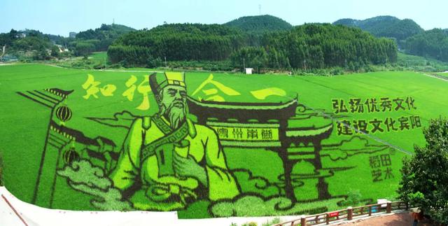 乐享田园·趣游南宁│稻香壮韵寻趣之旅