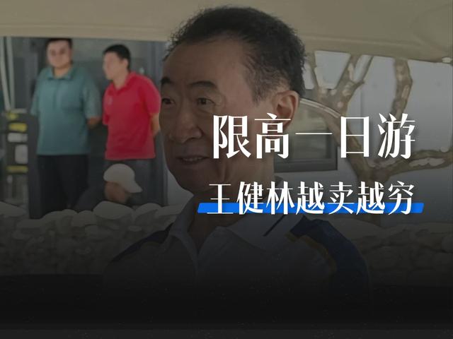 王健林还有多少资产可以变卖