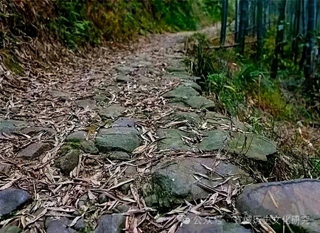 鸦山：拨云见古道