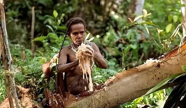 解放军在云南原始森林，发现一群男女	，他们住草棚靠野果捕猎为生