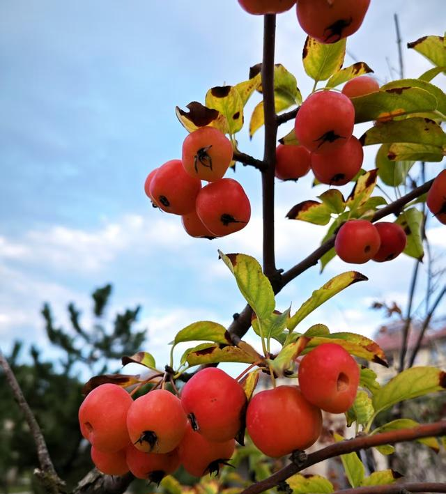 每晚坚持把双脚靠墙10分钟，不费一点力，全身气血都通了!