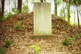 农村俗语“坟墓长有三种树，子孙添财又添福”，都有哪些讲究？图片