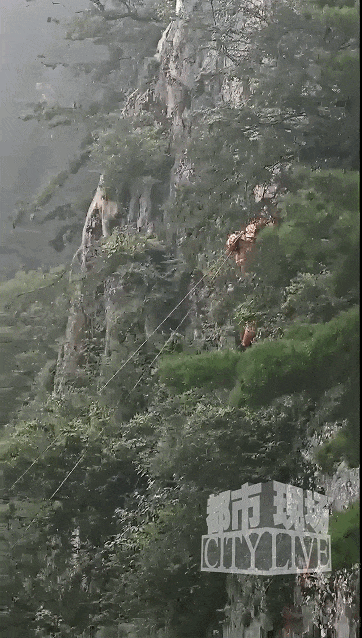 河南老君山景区一游客坠崖，景区回应：系游客自行翻越栏杆，已送医救治无生命危险