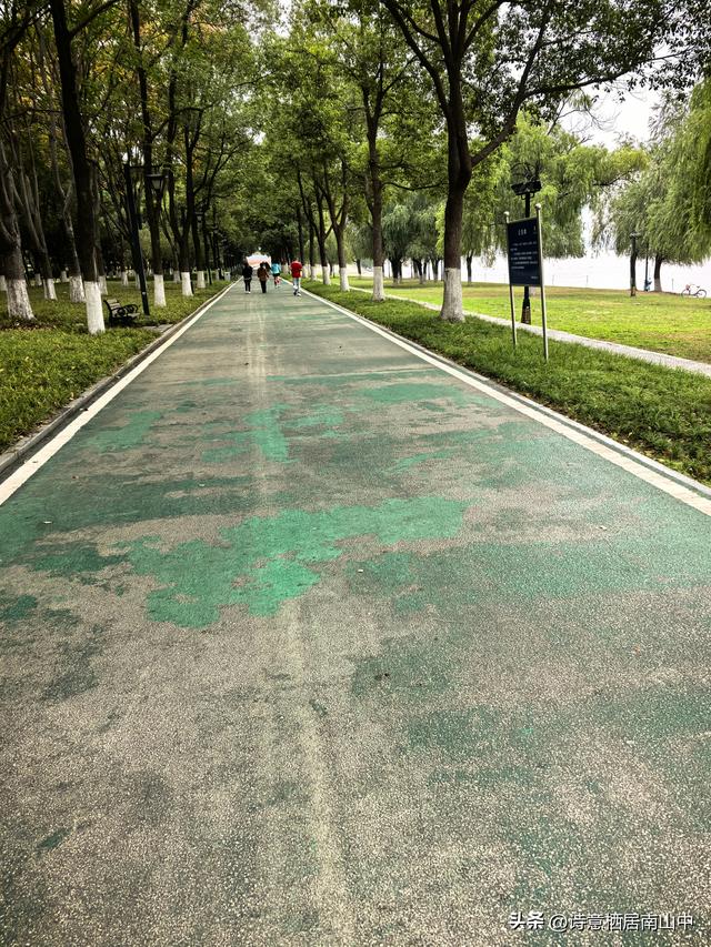 环长江(内环)骑行观光的路线与趣味:一江秋光连天际，满城烟火…