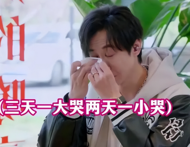 为何张维伊遭全网质疑