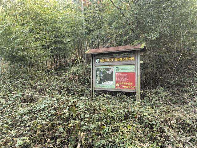 南京江宁大连山金陵四十八景之虎洞明曦，佘村丹霞山一日郊野徒步