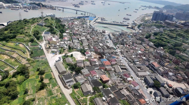 低空航线+1！从杨浦打“飞的”，33分钟即达嵊泗