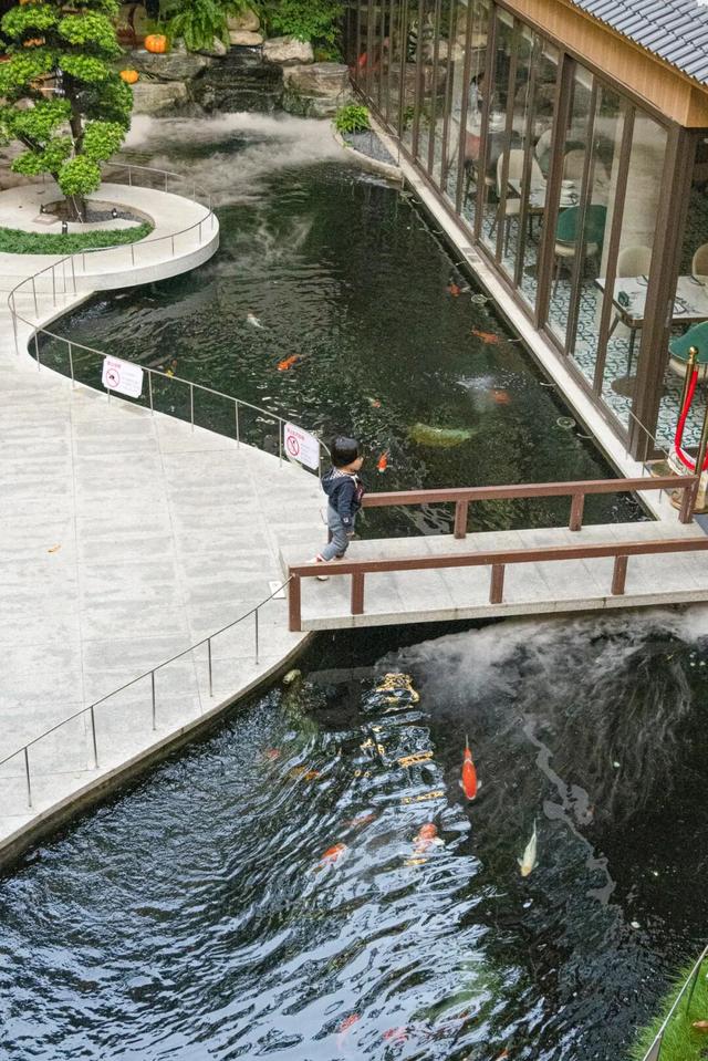 有37年历史的园林酒家开到江南西，又多一个饮茶好去处了