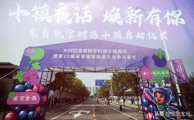 采育数字时尚小镇正式启动 数字与时尚共绘发展新图景
