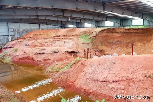 【乐游烟台】逛遍烟台，我最喜欢的慢节奏小城出现了→