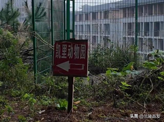 票价20元！最“寒酸”动物园火了！仅有一位七旬安徽宿州老人管理