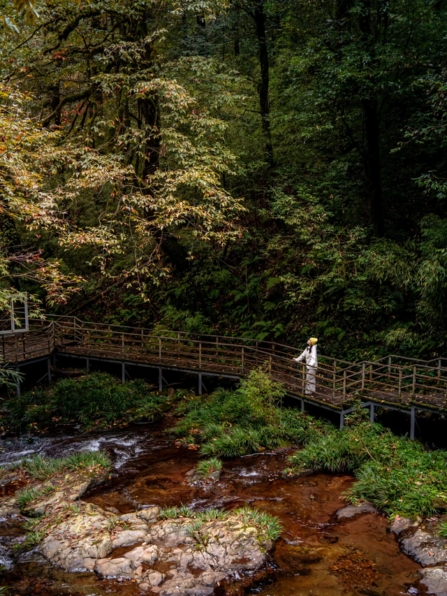 神图有了！在龙苍沟，出片还不是手拿把掐